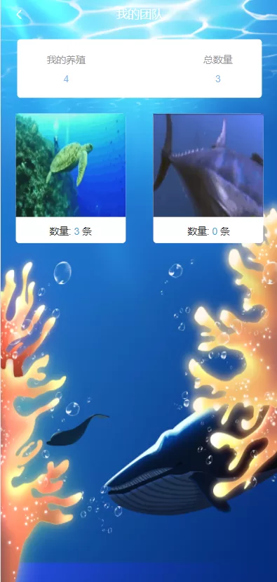 图片[5]-【USDT理财系统源码】USDT投资源码/虚拟币静态收益/区块链源码-精品海外源码