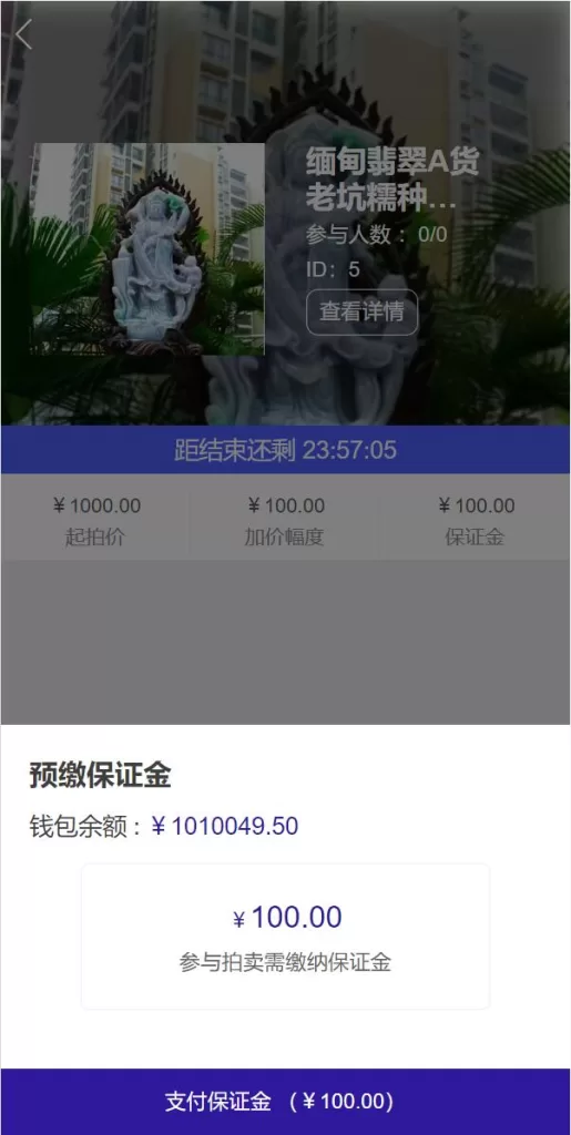 图片[6]-【双语言版竞拍源码】竞拍转拍源码/竞拍商城/商场寄售系统-精品海外源码